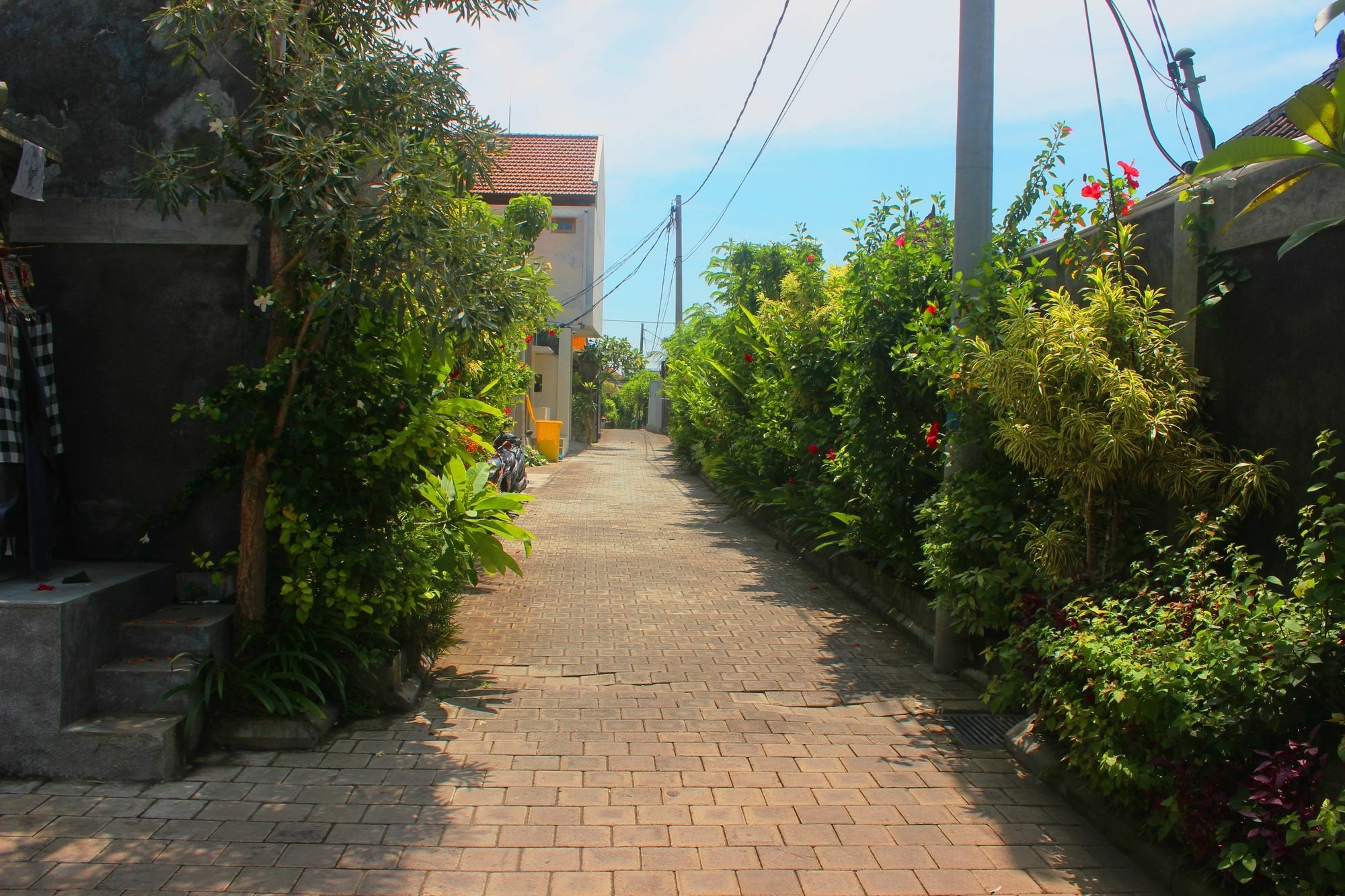 Amelle Villas & Residences Canggu Exteriör bild
